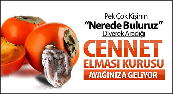 Cennet Elması Kurusu Ayağınıza Geliyor