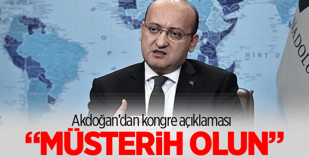 Akdoğan'dan 'kongre' açıklaması