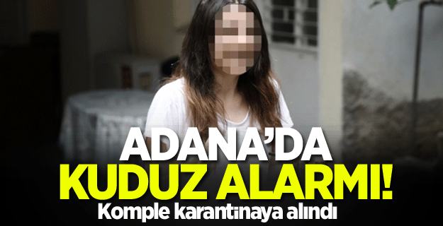 Adana'da kuduz alarmı!