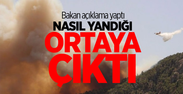 Kumluca'da yangın nasıl ortaya çıktı!