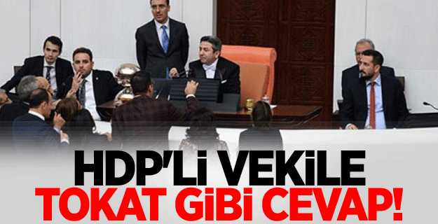 HDP'li vekile tokat gibi cevap!