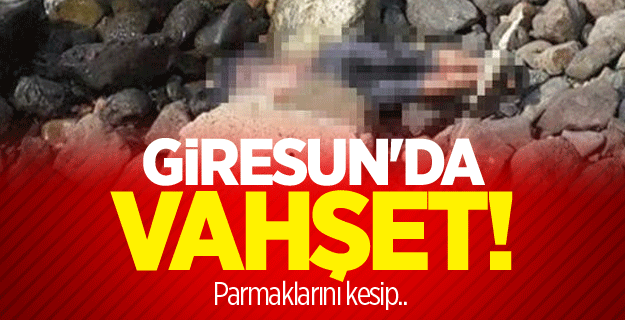 Giresun'da vahşet!