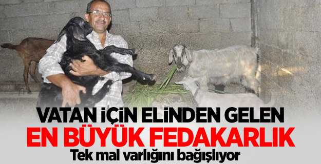 Tek mal varlığı olan keçilerini bağışlıyor