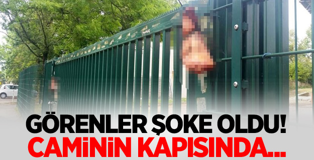 Camiye domuz kafası astılar!