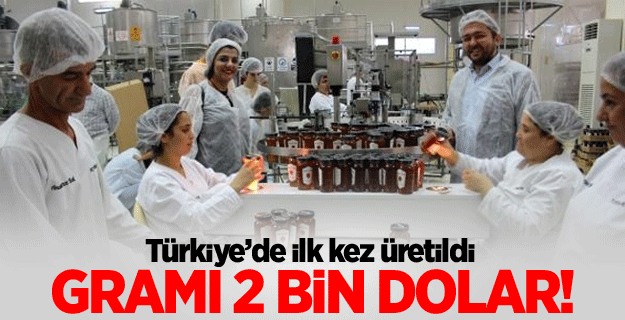 Türkiye'de ilk toz bal üretimine başlandı