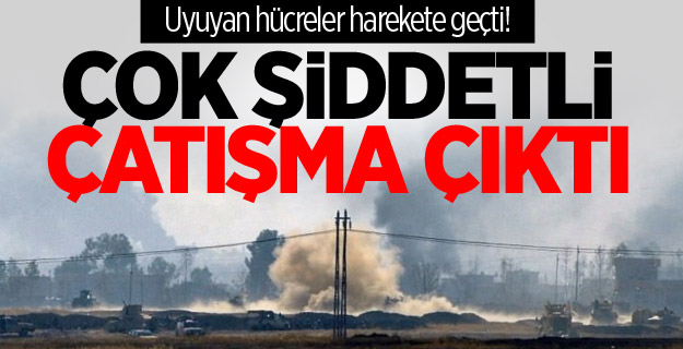 Uyuyan hücreler harekete geçti! Çok şiddetli çatışma çıktı