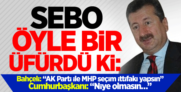 Sebo’dan garip Erdoğan-Bahçeli iddiası