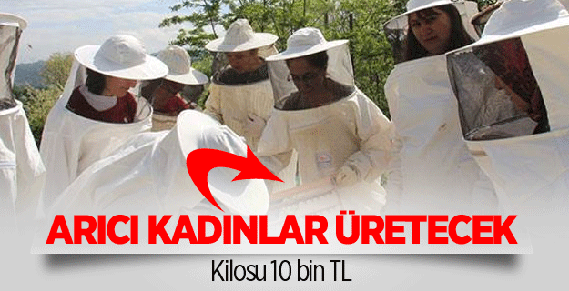 Kilosu 10 bin TL olan arı sütünü arıcı kadınlar üretecek