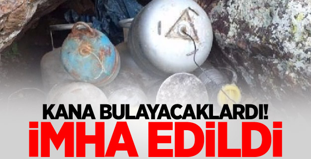Kana bulayacaklardı! İmha edildi