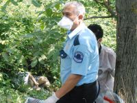 Başını Taşla Ezip, Cesedini Attılar