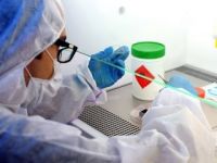 Ebola'da Tehlikeli Gelişme