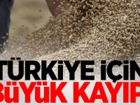 Türkiye için büyük kayıp!
