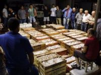Kilosu 350 TL'den 30 TL'ye düştü