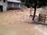 Çığlıklar hiç durmadı: Yukarı kaçın!