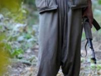 Artık sonlarının geldiğinin farkındalar! PKK'nın tükenişi telsize böyle yansıdı