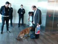 Türkleri köpekle arayan Avusturya'ya Türkiye'den misilleme