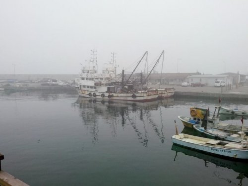 Akçakoca Sahillerinde Yoğun Sis