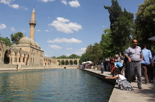 Balıklıgöl’deki Balıkların Diyeti Sona Erdi