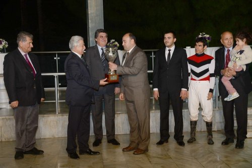 Büyükşehir Kupası 