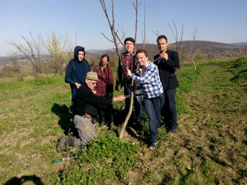 Çaycuma’da Ceviz Bahçeleri Kuruluyor