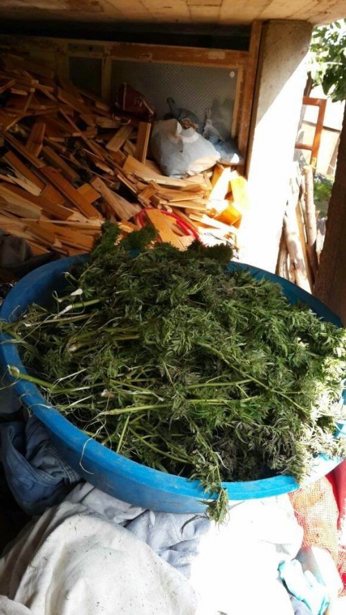 Samsun'da 120 Kilo 210 Gram Kubar Esrar Ele Geçti