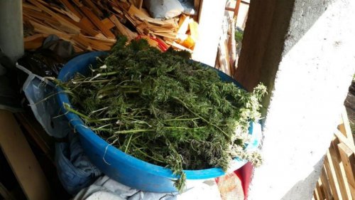 Samsun'da 120 Kilo 210 Gram Kubar Esrar Ele Geçti