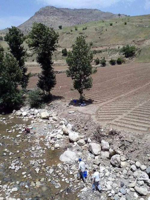 Şiddetli Yağış Sonucu Dereler Taştı