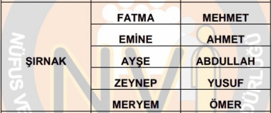 İllere Göre En Çok Kullanılan İsimler 71