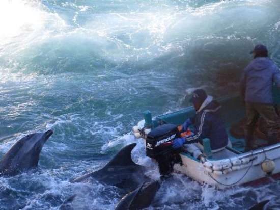 Bunun Adı Canilik 3