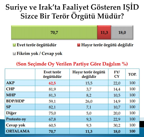 Türkiye'de IŞİD Nasıl Biliniyor! 1