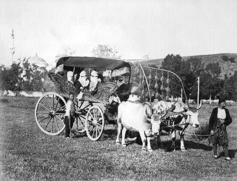 Padişah Arşivinden İstanbul'da Yaşam 5