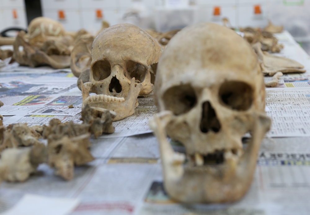 Anadolu'nun "Kemik Koleksiyonu" Tarihe Işık Tutuyor 10