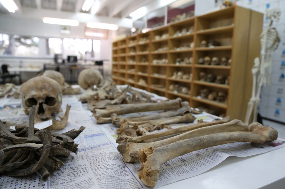 Anadolu'nun "Kemik Koleksiyonu" Tarihe Işık Tutuyor 11