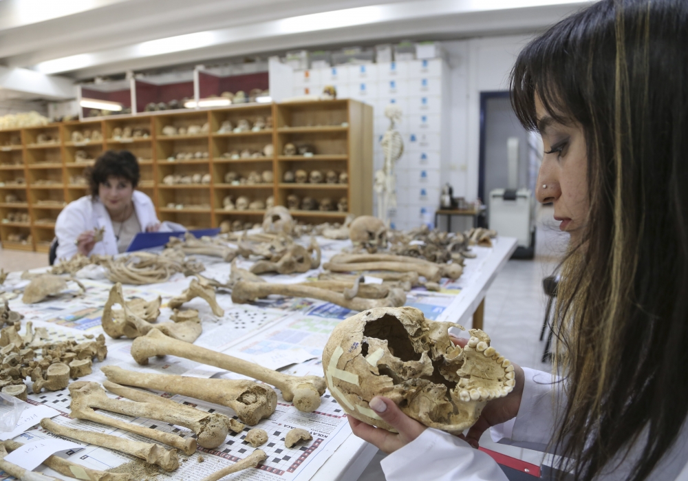 Anadolu'nun "Kemik Koleksiyonu" Tarihe Işık Tutuyor 14