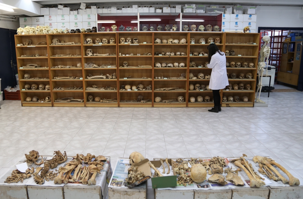 Anadolu'nun "Kemik Koleksiyonu" Tarihe Işık Tutuyor 2
