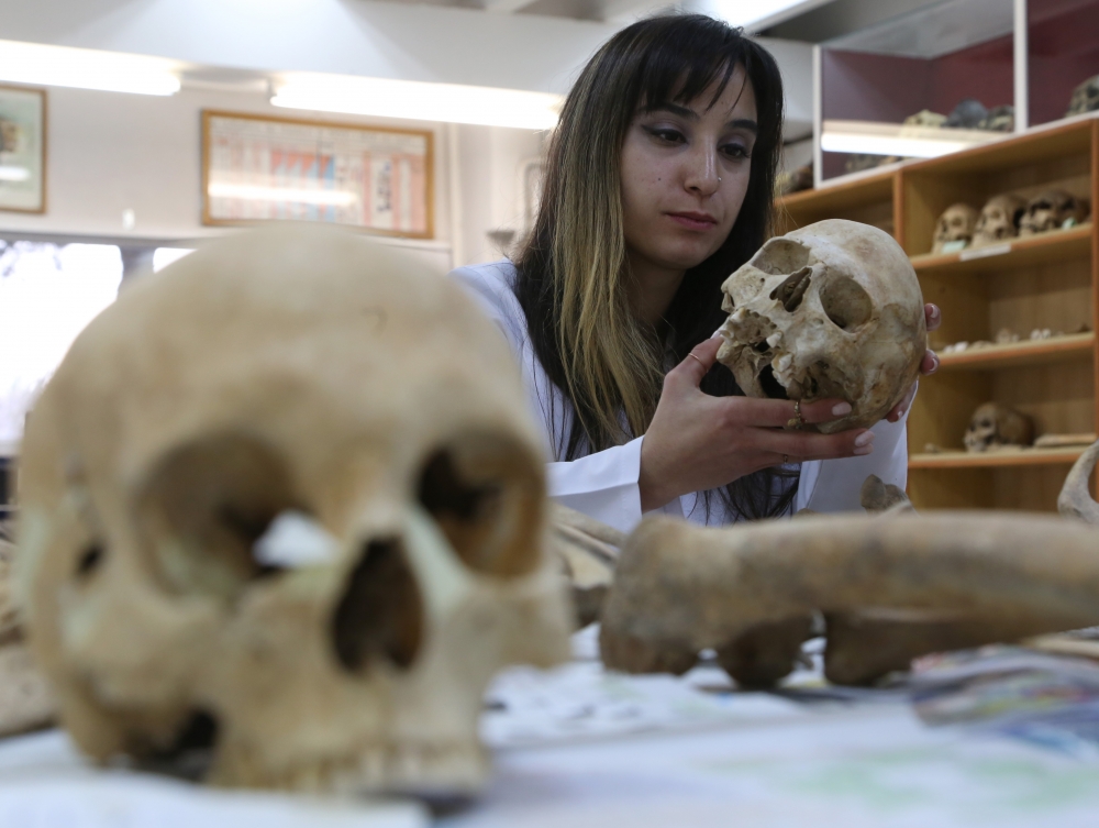 Anadolu'nun "Kemik Koleksiyonu" Tarihe Işık Tutuyor 4