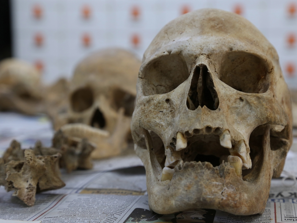 Anadolu'nun "Kemik Koleksiyonu" Tarihe Işık Tutuyor 5