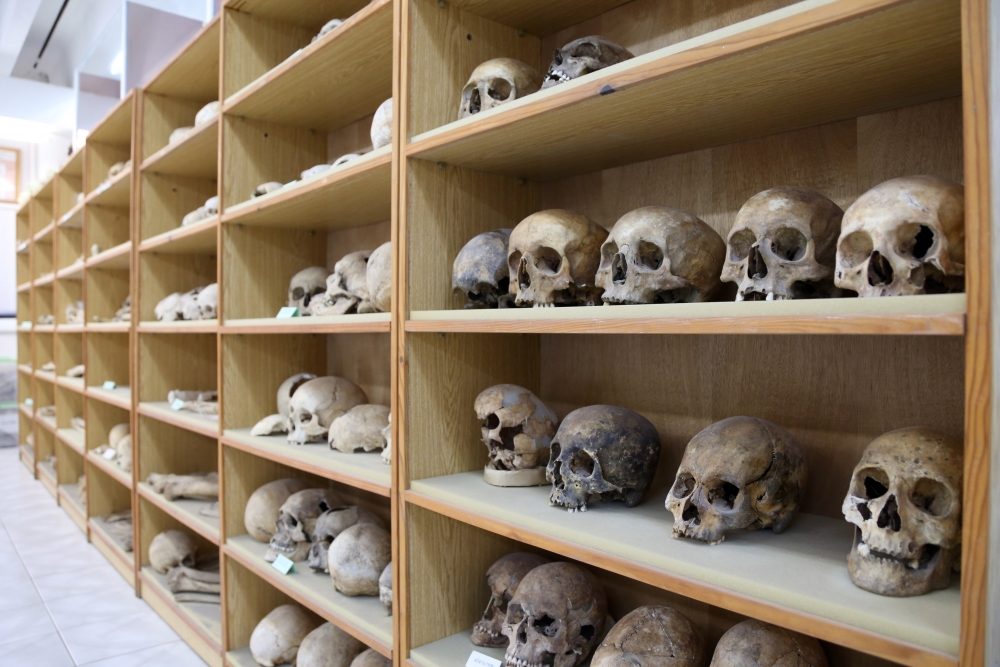 Anadolu'nun "Kemik Koleksiyonu" Tarihe Işık Tutuyor 9