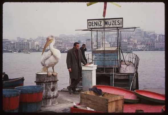İstanbul 1965 Yılında Nasıldı? İşte O Fotoğraflar 20