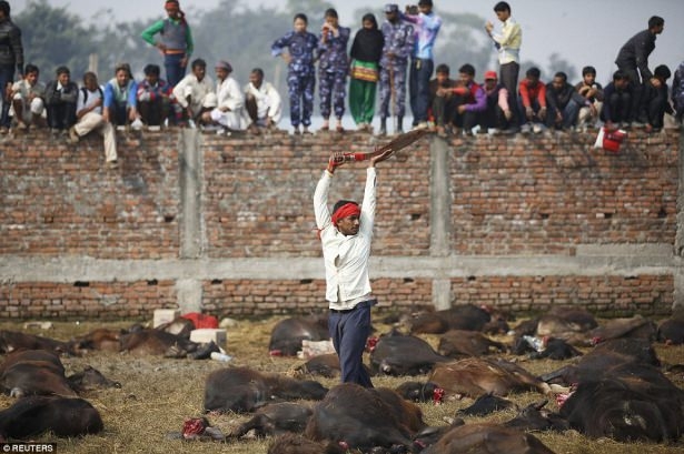 Nepal'de Katliam Gibi Festival! Böylesi Görülmedi (+13) 15