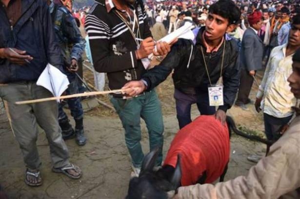 Nepal'de Katliam Gibi Festival! Böylesi Görülmedi (+13) 33