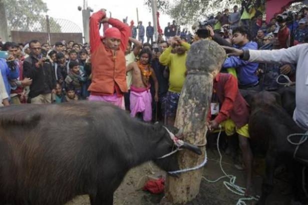 Nepal'de Katliam Gibi Festival! Böylesi Görülmedi (+13) 45