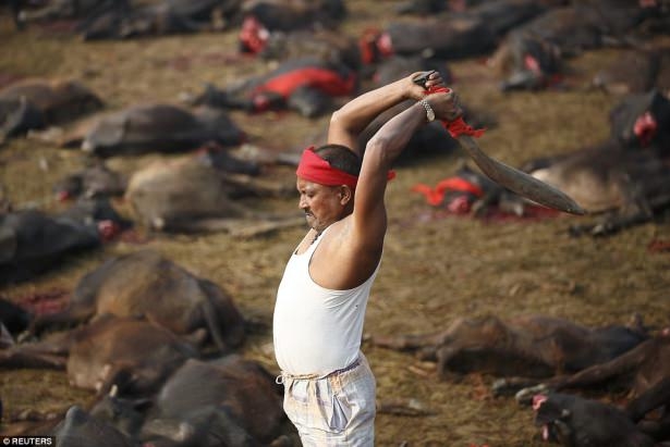 Nepal'de Katliam Gibi Festival! Böylesi Görülmedi (+13) 6