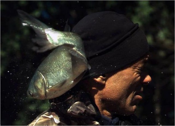 Bu Korkunç Balıklar Nehirlerde Yaşıyor! 28