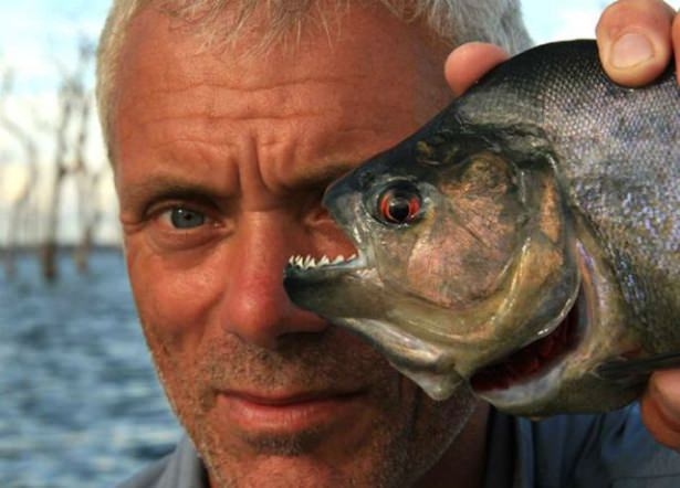 Bu Korkunç Balıklar Nehirlerde Yaşıyor! 40