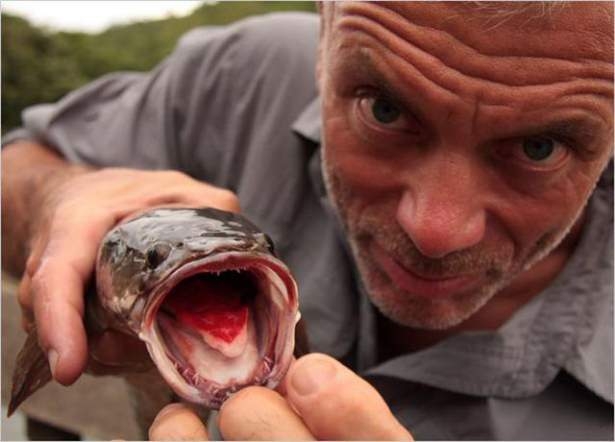 Bu Korkunç Balıklar Nehirlerde Yaşıyor! 48