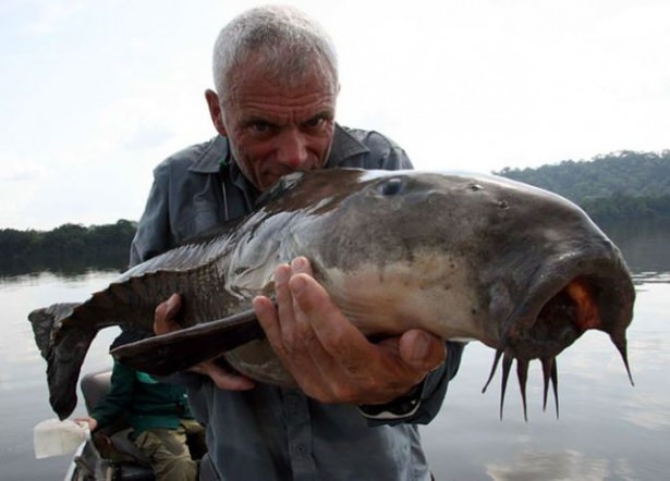 Bu Korkunç Balıklar Nehirlerde Yaşıyor! 51