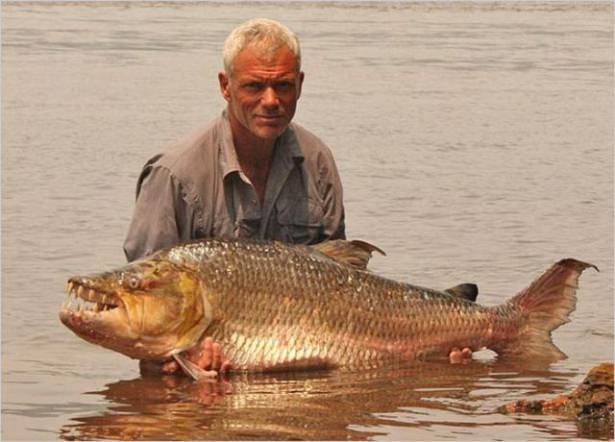 Bu Korkunç Balıklar Nehirlerde Yaşıyor! 59