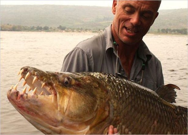 Bu Korkunç Balıklar Nehirlerde Yaşıyor! 61