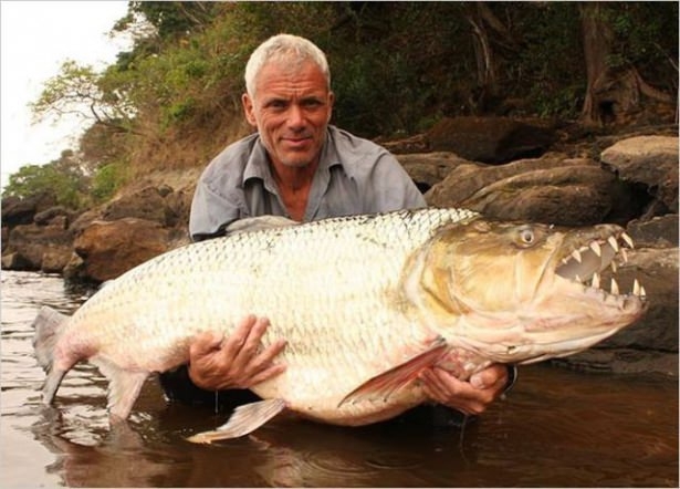 Bu Korkunç Balıklar Nehirlerde Yaşıyor! 62
